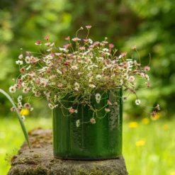 Glazed Ceramic Cylinder Crackle Green -Garden & Outdoors pr2000046309 card4 lg