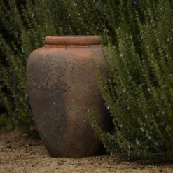 Terracotta Jar - Sandblasted -Garden & Outdoors pr2000046313 card3 lg