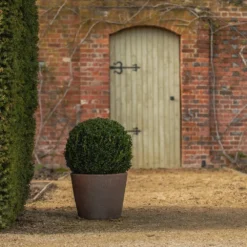 Tapered Terracotta Pot - Sandblasted -Garden & Outdoors pr2000046314 card6 lg