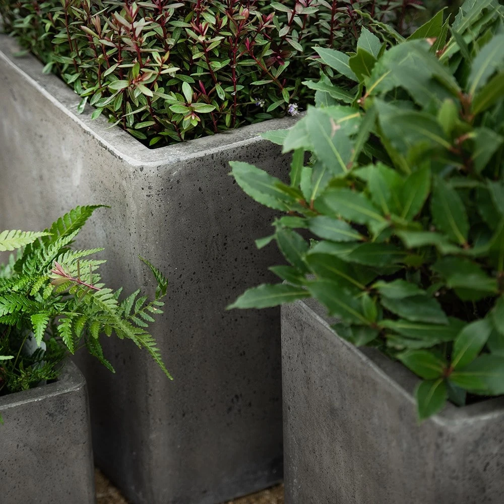Cement Cube Pot - Waxed 3 Cement Cube Pot - Waxed - Image 3
