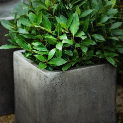 Cement Cube Pot - Waxed 10 Cement Cube Pot - Waxed -Garden & Outdoors pr2000046317 card4 lg