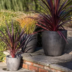 Cement Pot - Waxed -Garden & Outdoors pr2000046322 card5 lg