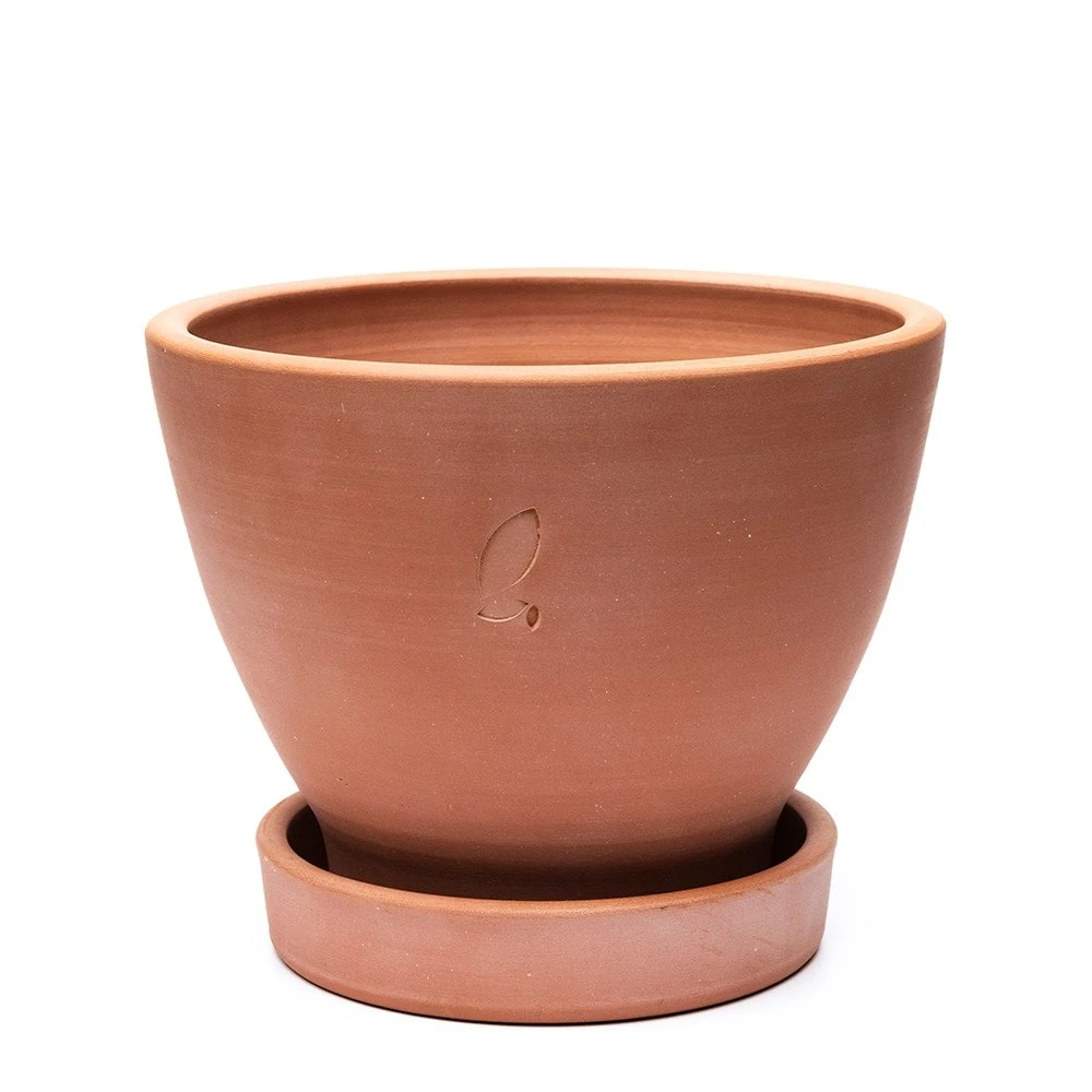 Terracotta Herb Pot And Saucer - Large 3 Terracotta Herb Pot And Saucer - Large - Image 3