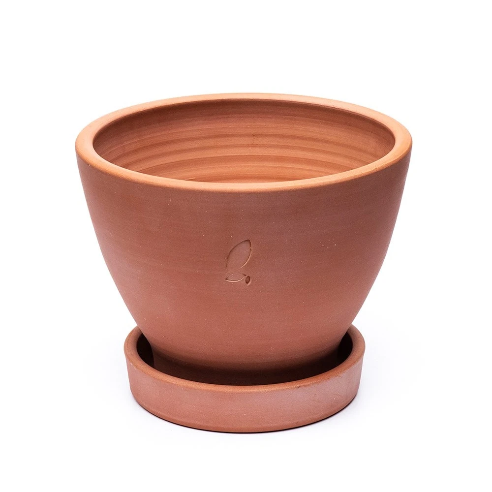 Terracotta Herb Pot And Saucer - Large 4 Terracotta Herb Pot And Saucer - Large - Image 4