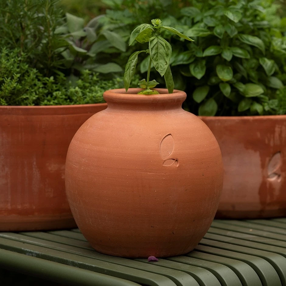Terracotta Erigeron Pot - Large 1 Terracotta Erigeron Pot - Large