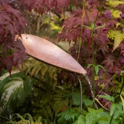 Pot Watering Droplet - Copper Scallop -Garden & Outdoors pr2000046900 card4 lg