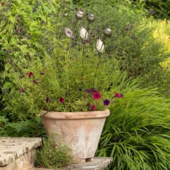 Poppy Seed Head Stake - Large Seed Head -Garden & Outdoors pr2000046971 card3 lg