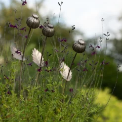 Poppy Seed Head Stake - Large Seed Head -Garden & Outdoors pr2000046971 card5 lg