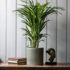 Garden & Outdoors 42 Stone Ribbed Speckle Plant Pot - Green