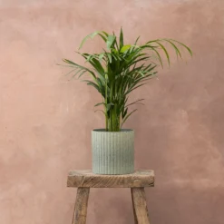 Garden & Outdoors -Garden & Outdoors pr2000047905 card2 lg