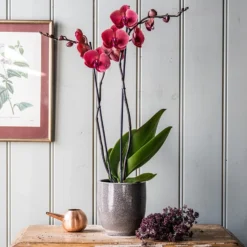 Reactive Glaze Plant Pot - Grey