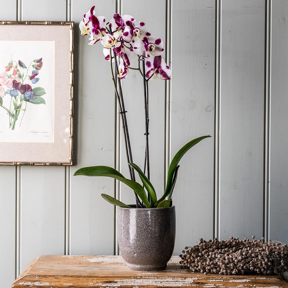 Reactive Glaze Plant Pot - Grey 2 Reactive Glaze Plant Pot - Grey - Image 2