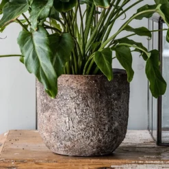 Rustic Plant Pot - Brown -Garden & Outdoors pr2000047913 card4 lg