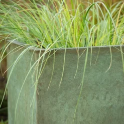 Square Terrace Planter - Verdigris -Garden & Outdoors pr2000048721 card8 lg