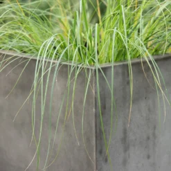 Square Terrace Planter - Weathered Cement -Garden & Outdoors pr2000048722 card5 lg