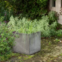 Square Terrace Planter - Weathered Cement -Garden & Outdoors pr2000048722 card7 lg