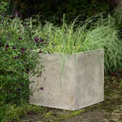 Square Terrace Planter - Weathered Cream -Garden & Outdoors pr2000048723 card3 lg
