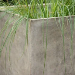 Square Terrace Planter - Weathered Cream -Garden & Outdoors pr2000048723 card5 lg