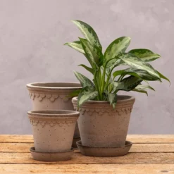 Garden & Outdoors 33 Scalloped Tapered Plant Pot With Saucer - Grey Terracotta
