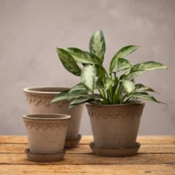Scalloped Tapered Plant Pot With Saucer - Grey Terracotta -Garden & Outdoors pr2000049049 card3 lg
