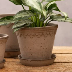 Scalloped Tapered Plant Pot With Saucer - Grey Terracotta -Garden & Outdoors pr2000049049 card4 lg