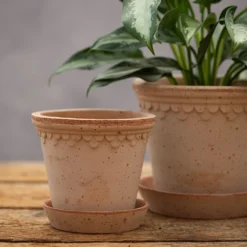 Scalloped Tapered Plant Pot With Saucer - Terracotta -Garden & Outdoors pr2000049052 card4 lg