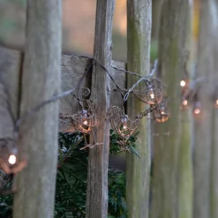 Solar Robins String Lights Warm White 8 Solar Robins String Lights Warm White -Garden & Outdoors pr2000049109 card4 lg