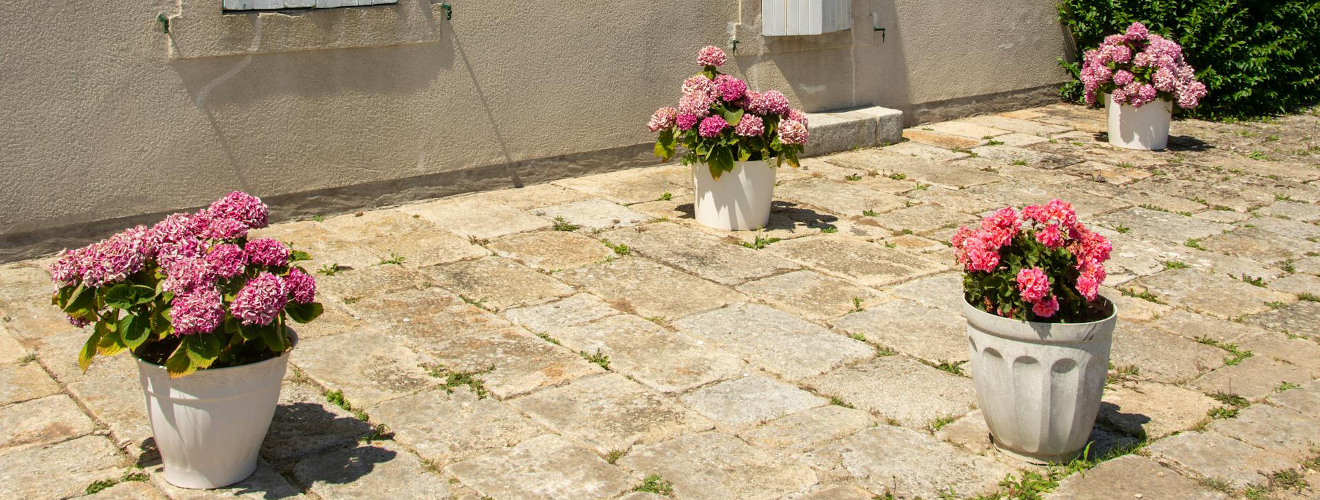 Garden & Outdoors 9 Garden & Outdoors -Garden & Outdoors pexels jan van der wolf 11680885 30507602